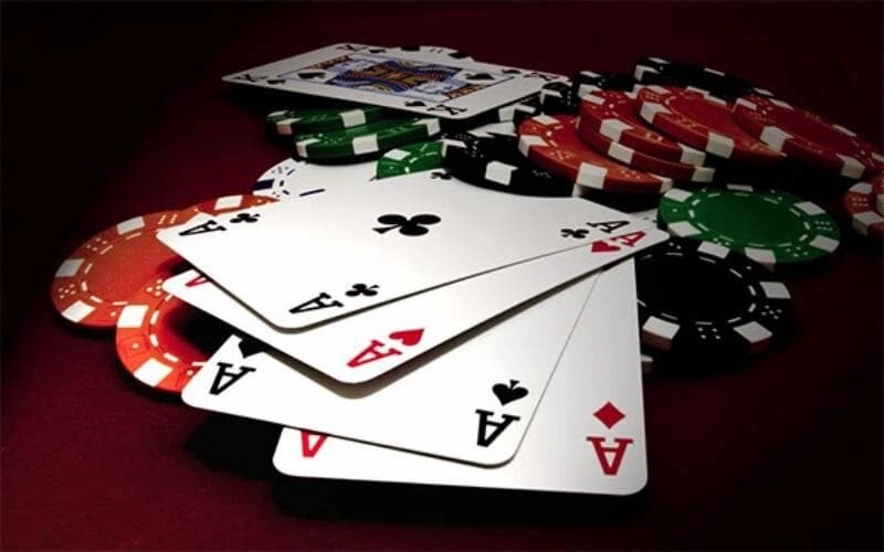 Tận dụng tứ quý 